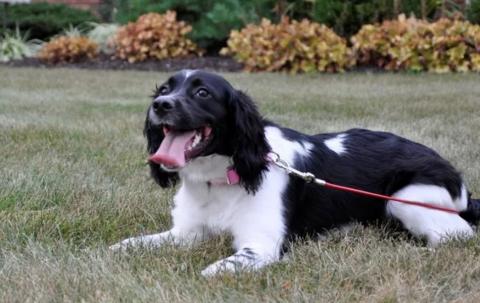 Kliknite za detalje...