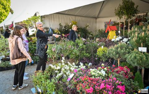 Kliknite za detalje...