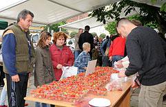 festival_jagoda_06.jpg