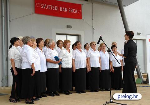 dan_srca_01.jpg