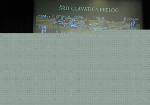 glavatica_05.jpg