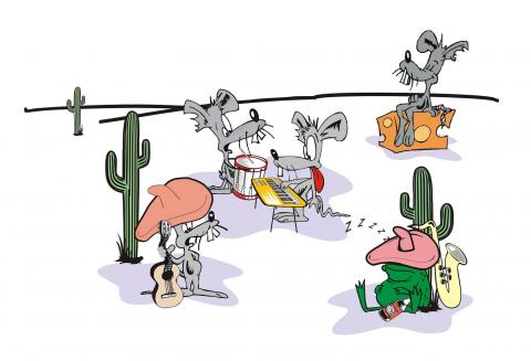 Tequila band 02