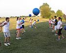 310811a.jpg